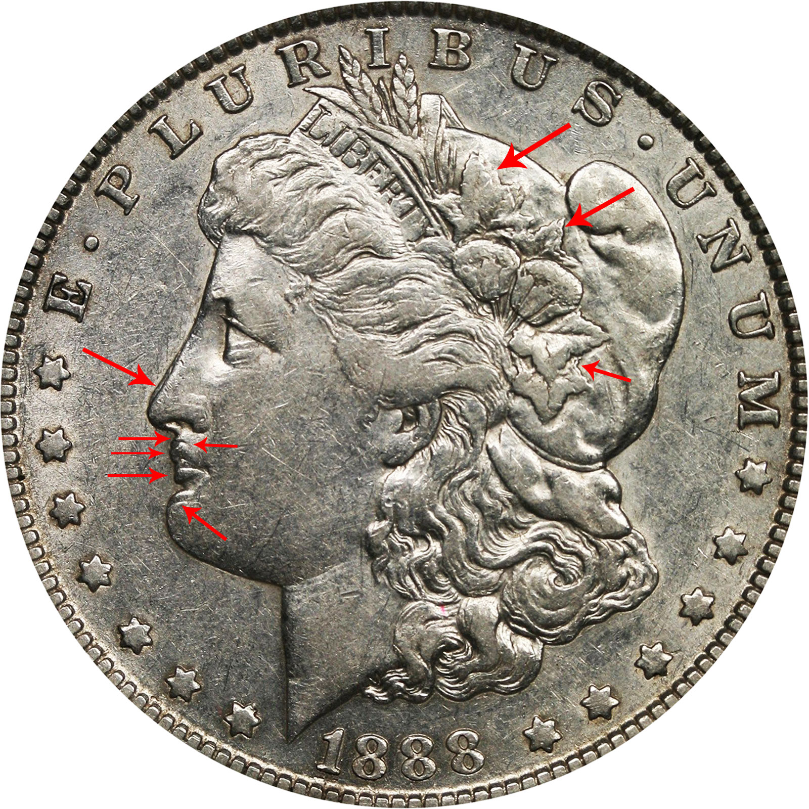 1888 O Morgan Silver Dollars Doubled Die Obverse - Hot Lips: Value and Prices