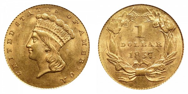 Large Indian Head Gold Dollars Type 3 - Indian Princess US Coin