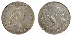 Flowing Hair Half Dollars