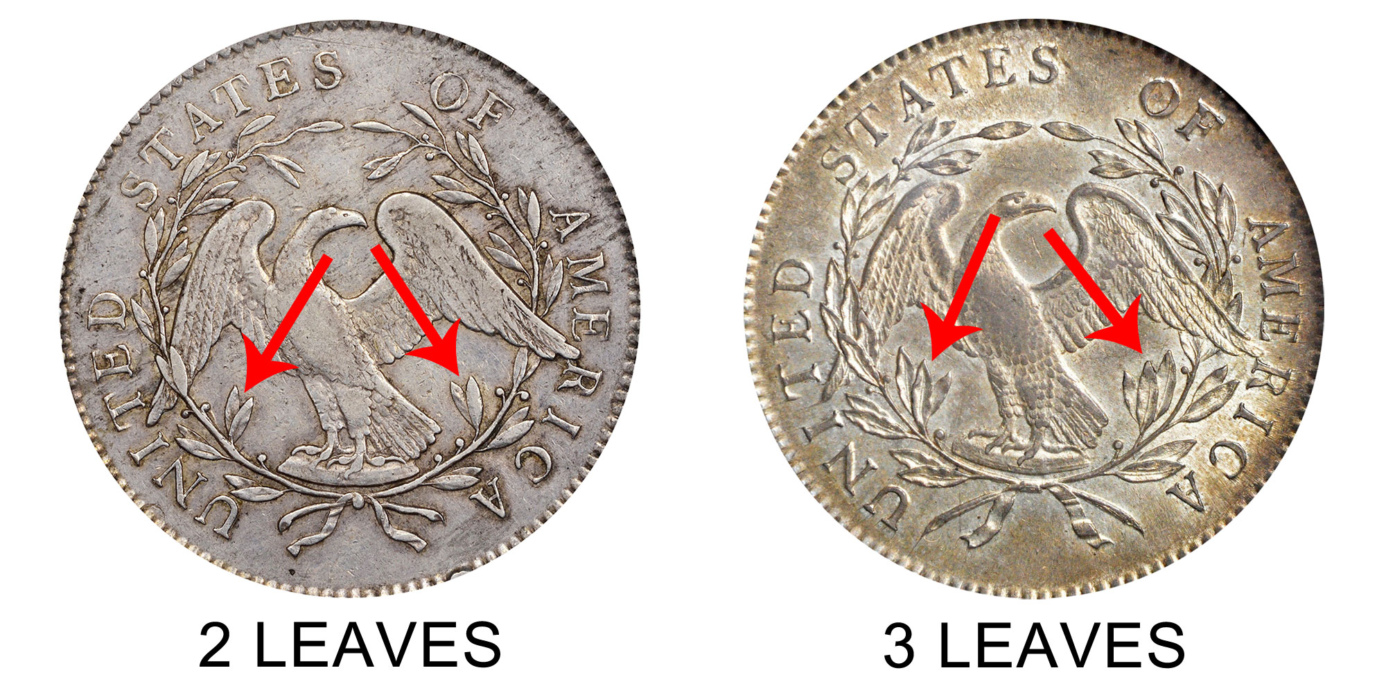 Liberty Half Dollar Value Chart