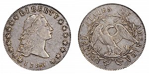 <b>1795 Flowing Hair Silver Dollar: 2 Leaves