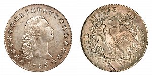 <b>1795 Flowing Hair Silver Dollar: Silver Plug