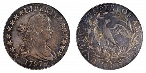 Draped Bust