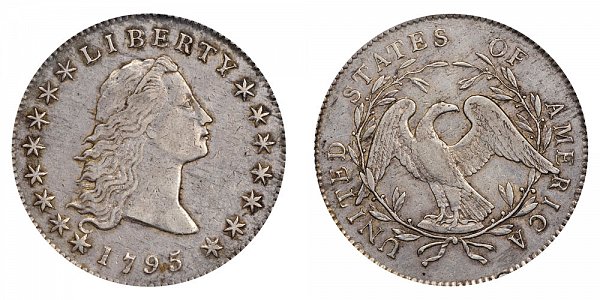 1795 Flowing Hair Silver Dollar - 2 Leaves
