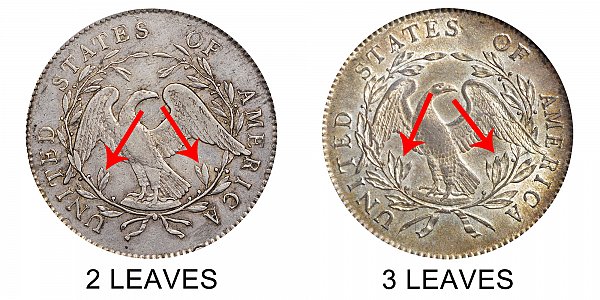 1795 Flowing Hair Silver Dollar Varieties - Difference and Comparison 
