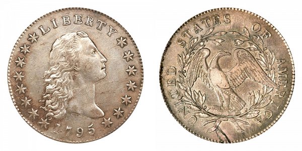 1795 Flowing Hair Silver Dollar - Silver Plug 