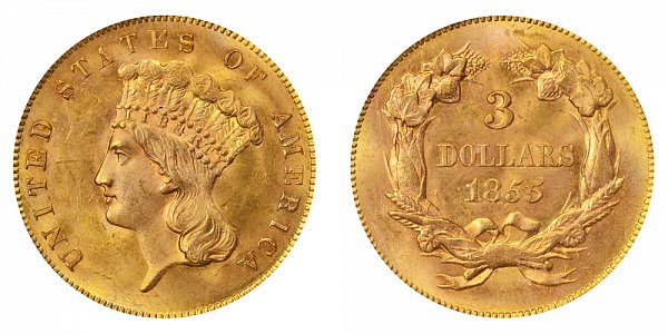 1855 Indian Princess Head $3 Gold Dollars - Three Dollars 