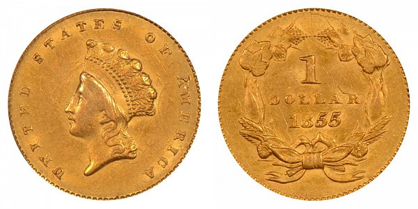 1855 Small Indian Princess Head Gold Dollar G$1