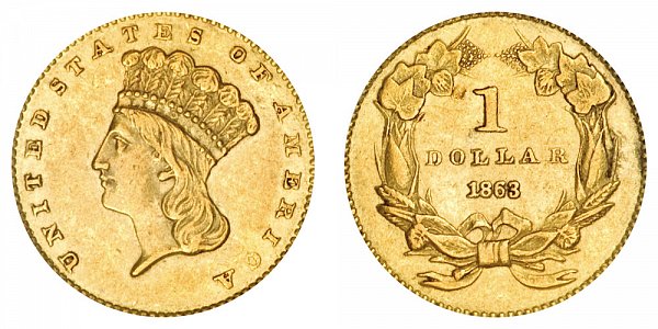 1863 Large Indian Princess Head Gold Dollar G$1 