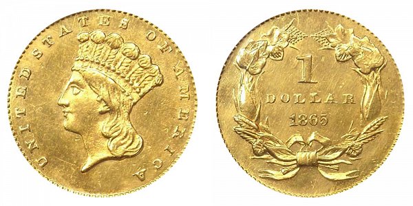 1865 Large Indian Princess Head Gold Dollar G$1 