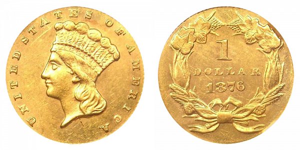 1876 Large Indian Princess Head Gold Dollar G$1 