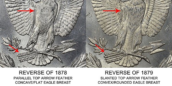 1878 Concave/Flat Eagle Breast vs Convex/Rounded Eagle Breast Morgan Silver Dollar - Difference and Comparison