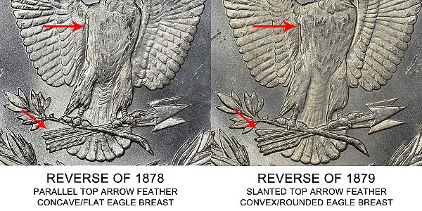 1879 S Reverse of 1878 vs Reverse of 1879 Morgan Silver Dollar - Difference and Comparison