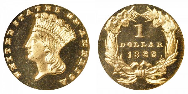 1882 Large Indian Princess Head Gold Dollar G$1 
