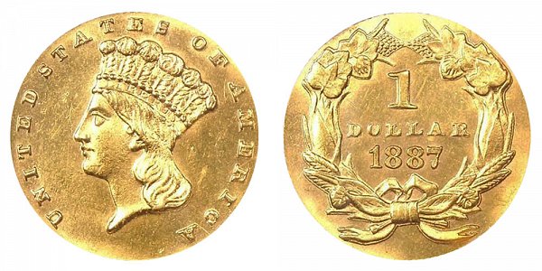 1887 Large Indian Princess Head Gold Dollar G$1 