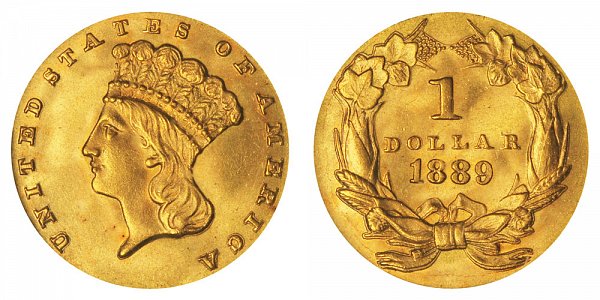 1889 Large Indian Princess Head Gold Dollar G$1 