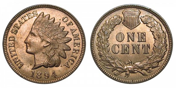 1894 Indian Head Cent Penny 
