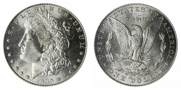 1899 Morgan Silver Dollar