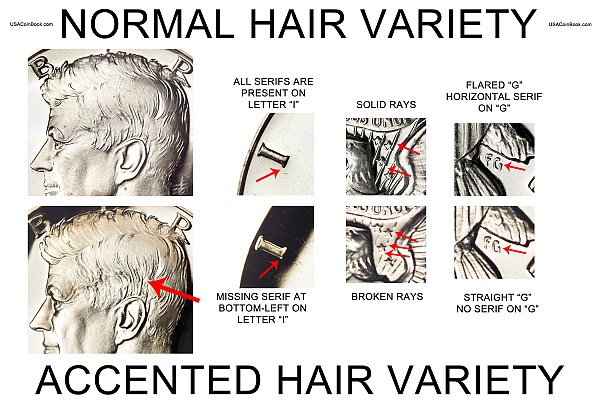 1964 Normal Hair vs Accented Hair Kennedy Half Dollar- Difference and Comparison