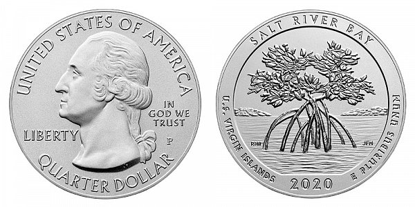 2020 P Salt River Bay 5 Ounce Burnished Uncirculated Coin - 5 oz Silver 