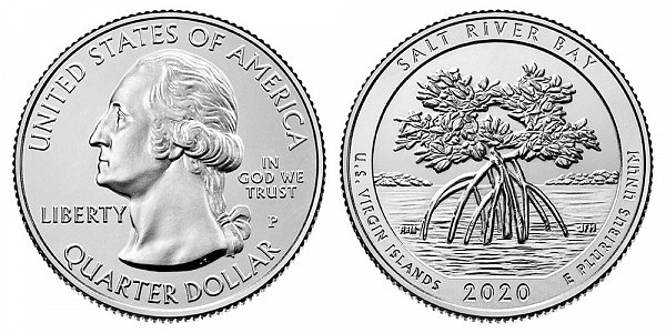 2020 P Salt River Bay Quarter - US Virgin Islands